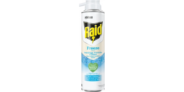 Raid® Essentials Freeze Spray proti lezoucímu hmyzu 350ml                                                                                                                                                                                                 