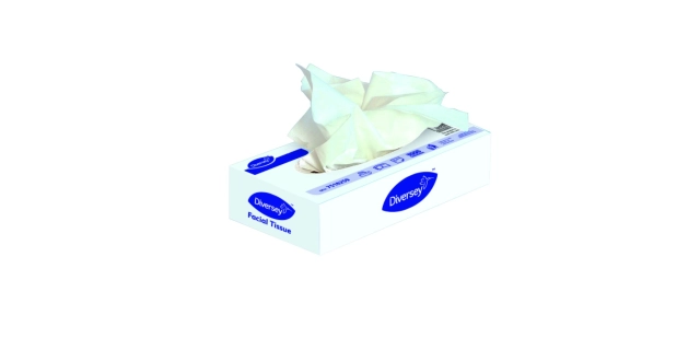 DI Facial Tissue White 2ply 100pc                                                                                                                                                                                                                         
